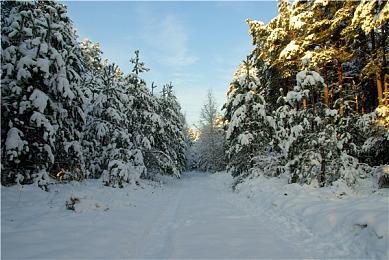 《全面战争：战锤3》震旦天朝